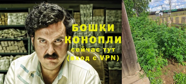 прущая мука Чекалин